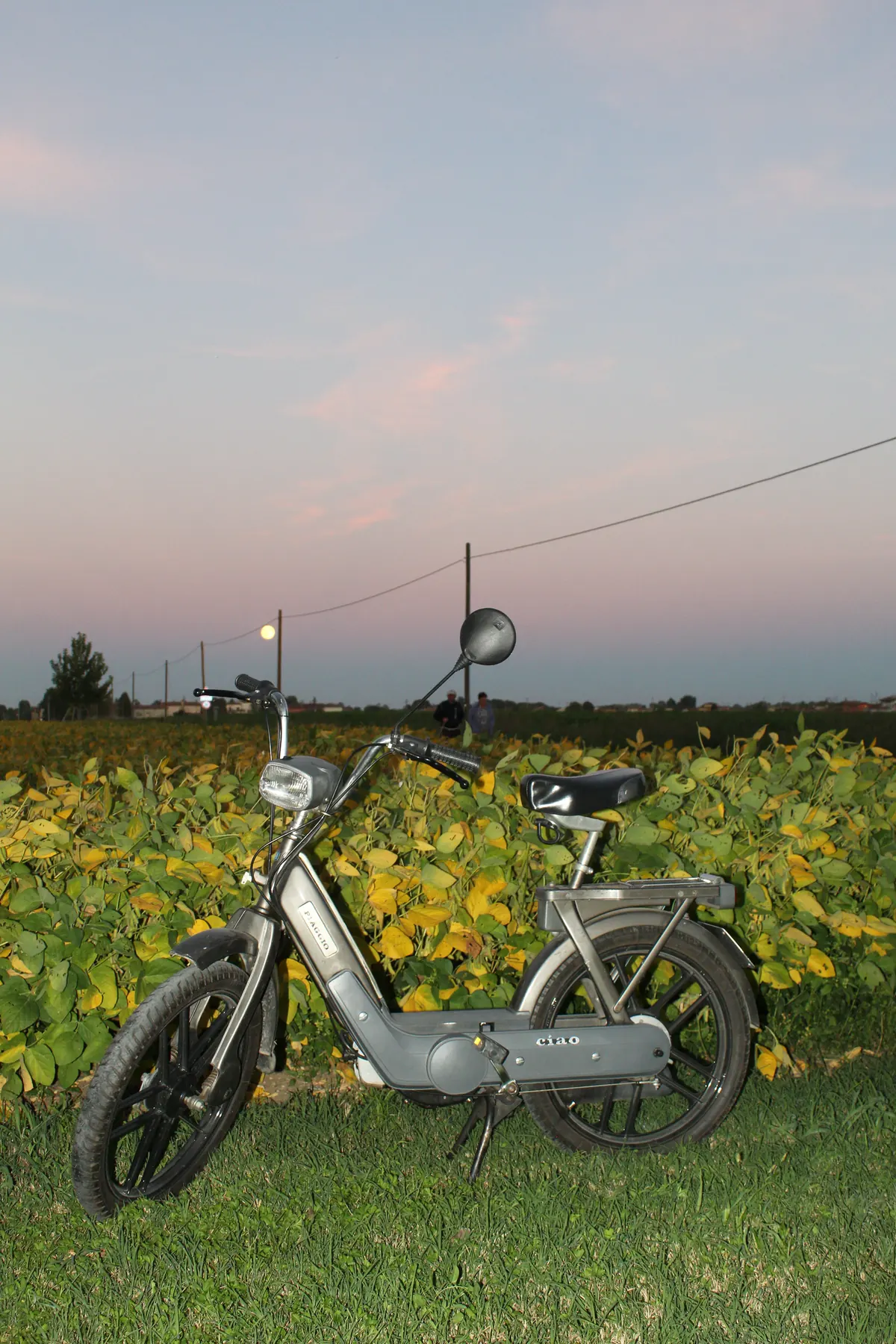 Il motorino Ciao fermo davanti a un campo dalle foglie gialle, sotto un cielo rosa e viola con la luna bassa sopra l’orizzonte