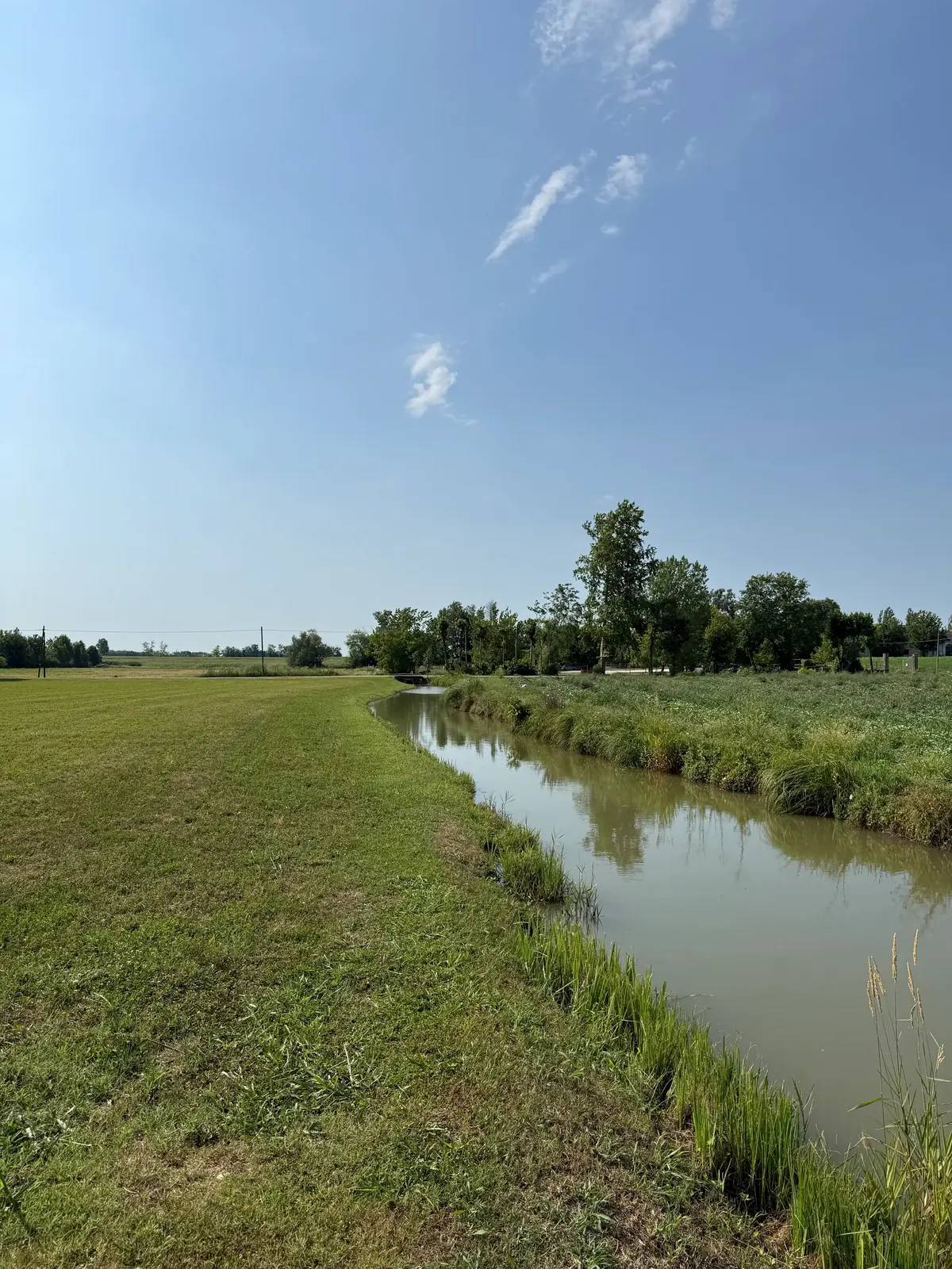 Canale d’irrigazione che corre lungo un campo, con filari di alberi sullo sfondo