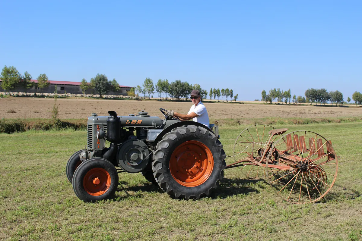 Il vecchio trattore grigio con le ruote arancioni e la rastrellona, visti dal campo sotto un cielo azzurro, con i platani in fondo