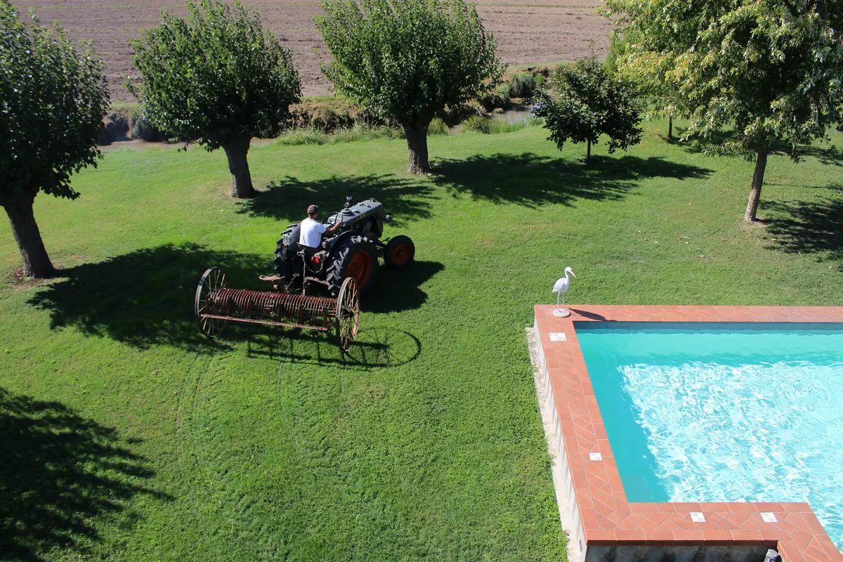 Il trattore con la rastrellona sul prato del giardino visto dall’alto, tra le ombre dei gelsi e la vasca della fontana