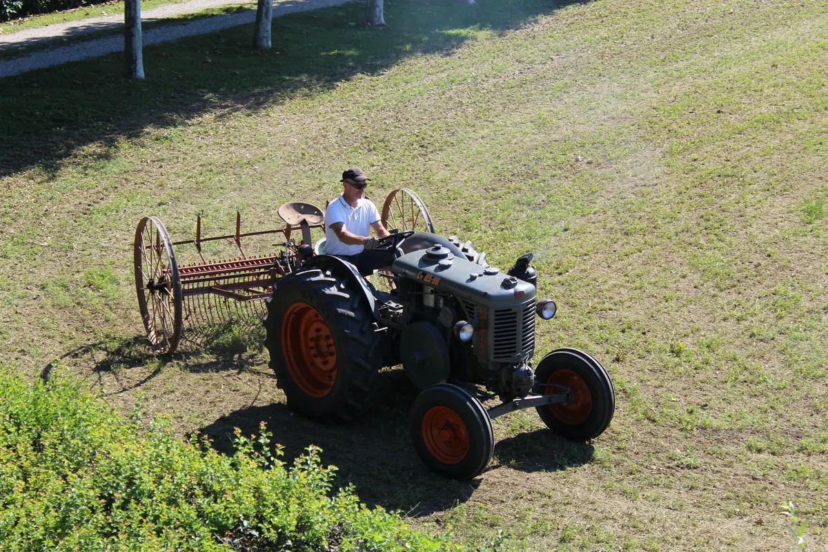 Il vecchio trattore grigio con la rastrellona a ruote di ferro visto dall’alto, con il filare dei platani dietro