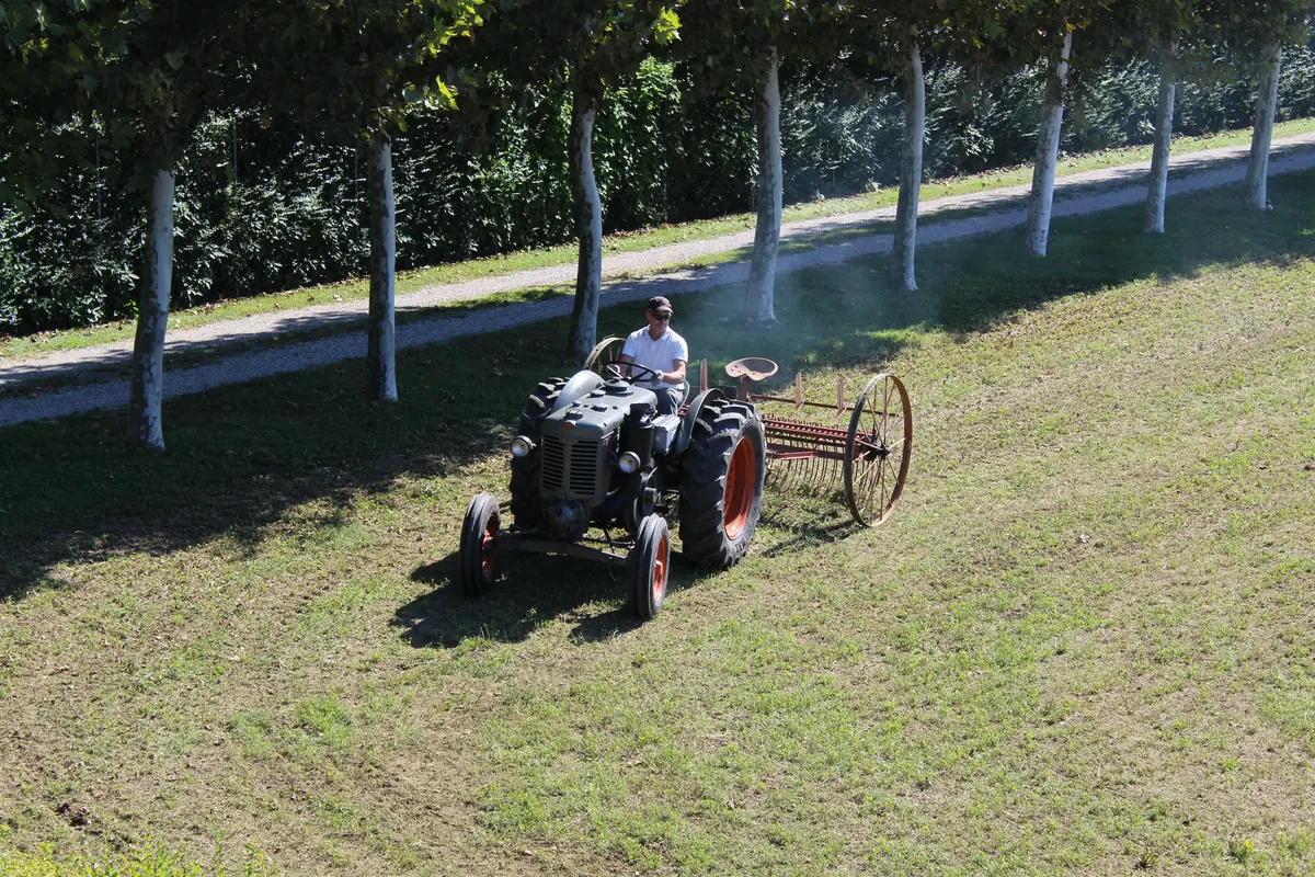 Il Landini Testacalda, il vecchio trattore grigio con le ruote arancioni, traina la rastrellona a ruote di ferro lungo il filare dei platani, visto dall’alto in pieno sole