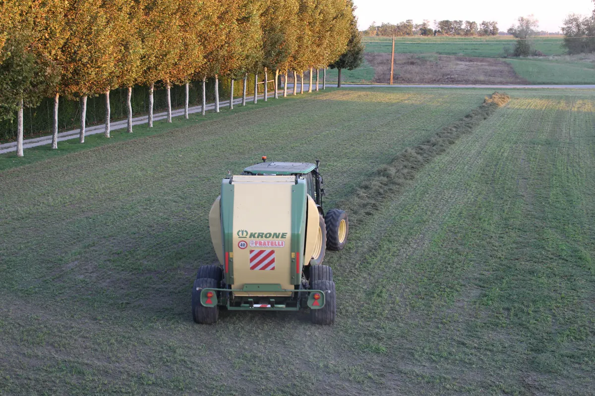 La rotopressa vista da dietro mentre risale il campo lungo il viale dei platani, verso la strada
