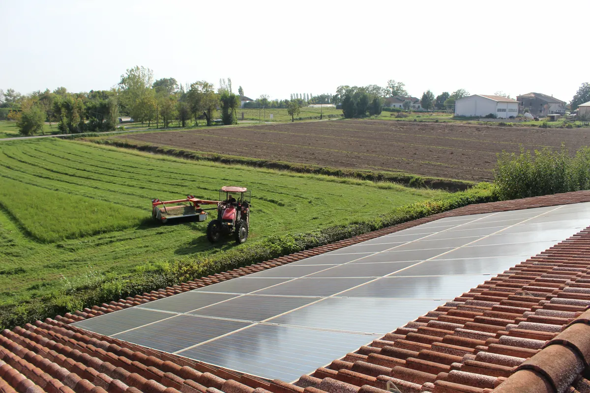 Il campo falciato visto dal tetto del capannone, con i pannelli fotovoltaici in primo piano e il trattore in mezzo alle strisce