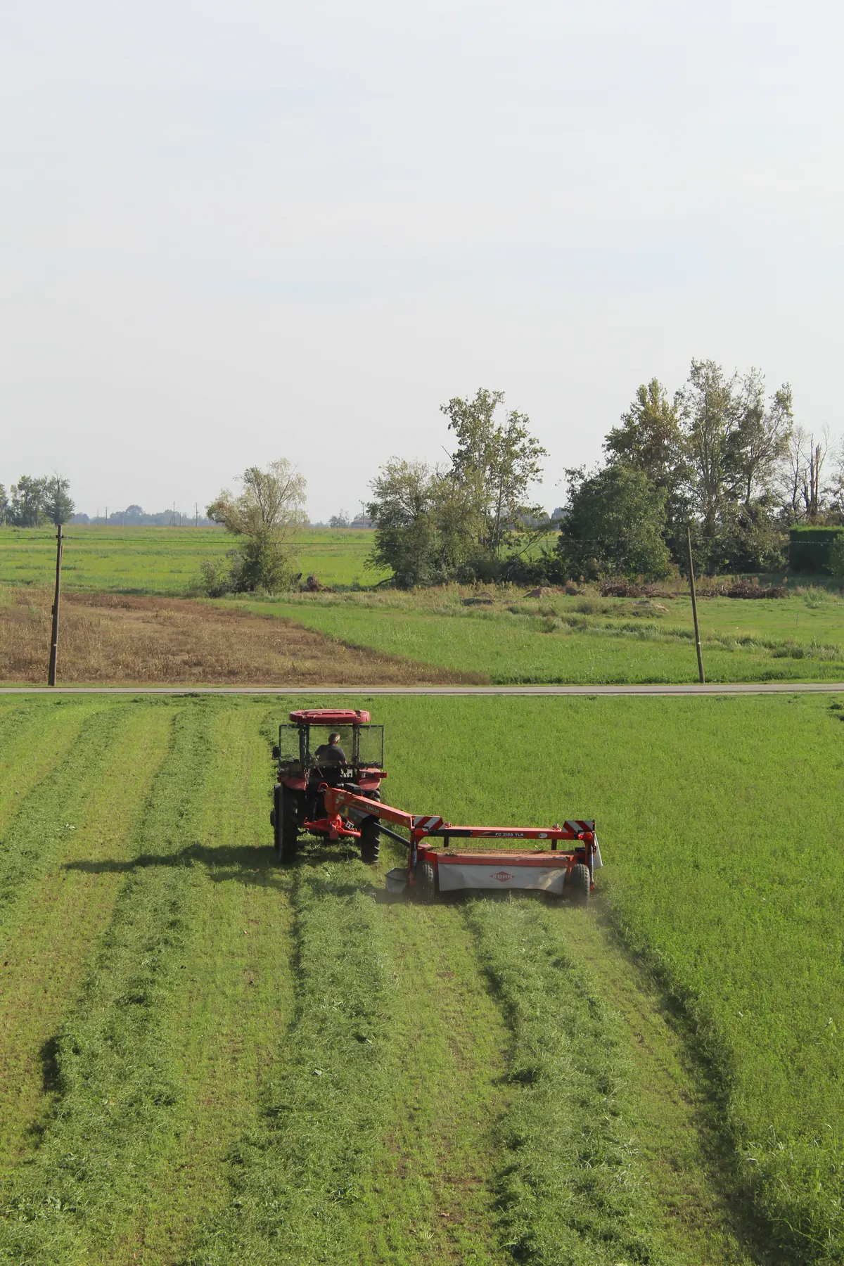 Il trattore rosso con la falciatrice in mezzo alle righe di erba tagliata, con gli alberi e la terra arata in fondo