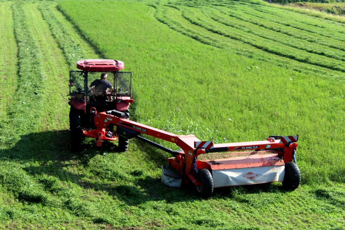 Falciacondizionatrice arancione trainata dal trattore rosso, con le file di erba tagliata sul prato