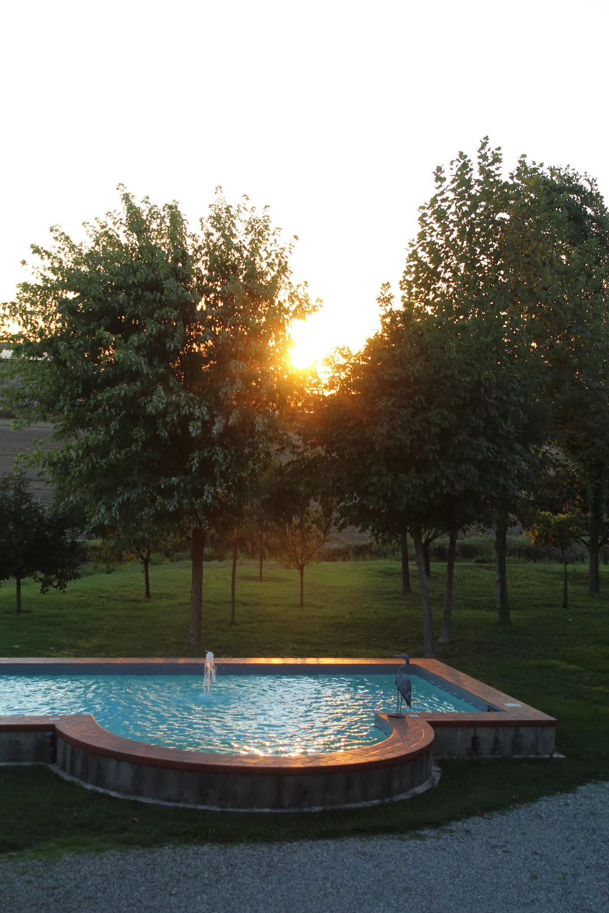 Il sole che filtra tra gli alberi del giardino sopra la fontana, con la vasca che riflette l’ultima luce