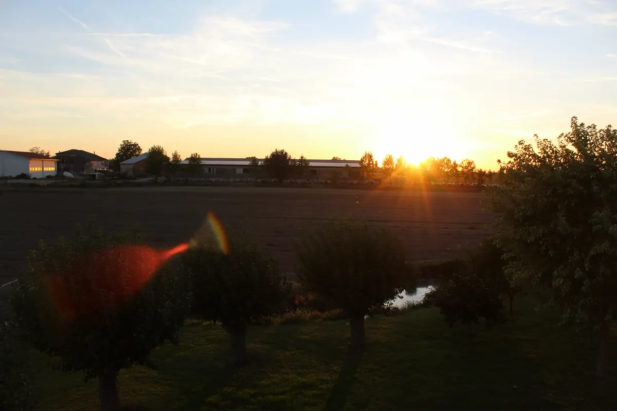 Il sole che tramonta dietro i campi arati e i capannoni in lontananza, con i gelsi in controluce in primo piano